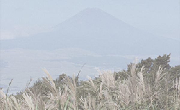 霧のかかった富士山の比較画像右：ON時、イメージ