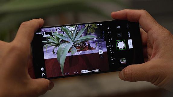 Xperia1VIで写真撮影アプリ Photography proを使って植物を撮影している画像 被写体に対してXperiaの撮影画面が水平か否かを音で知らせているイメージ画像